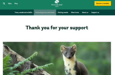 Mourne Park Appeal | SMET donates to Woodland Trust Nov 22