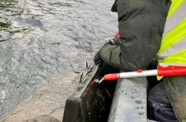 SMET proudly sponsored the purchase of a range of litter-picking equipment for the IWAI